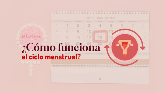 ¿Cómo funciona el ciclo menstrual? - Luteas