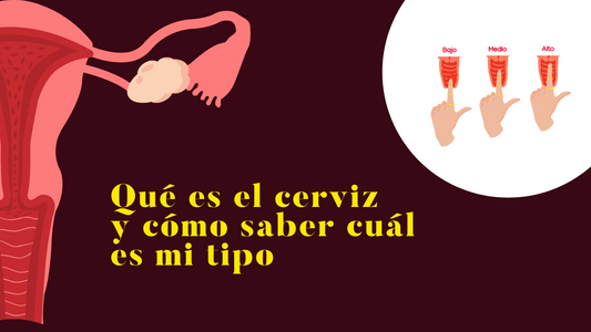 ¿Qué es el cerviz? ¿Qué tipo de cerviz tengo?