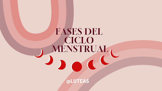 Fases del ciclo menstrual - Luteas
