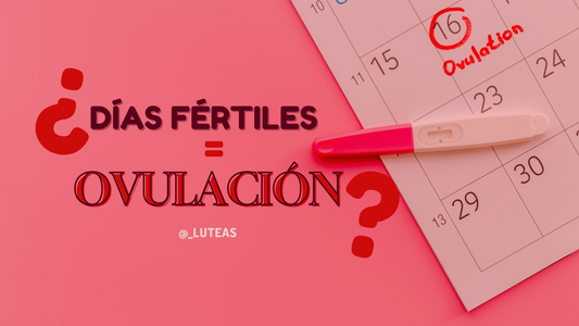 La ovulación: desenredando el misterio de los días fértiles - Luteas